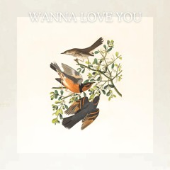 Wanna Love You