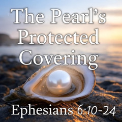 The Pearl's Protected Covering