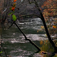 River Of Dreams -Billy Joel
