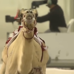 مسفر السندوانه - جو البشائر