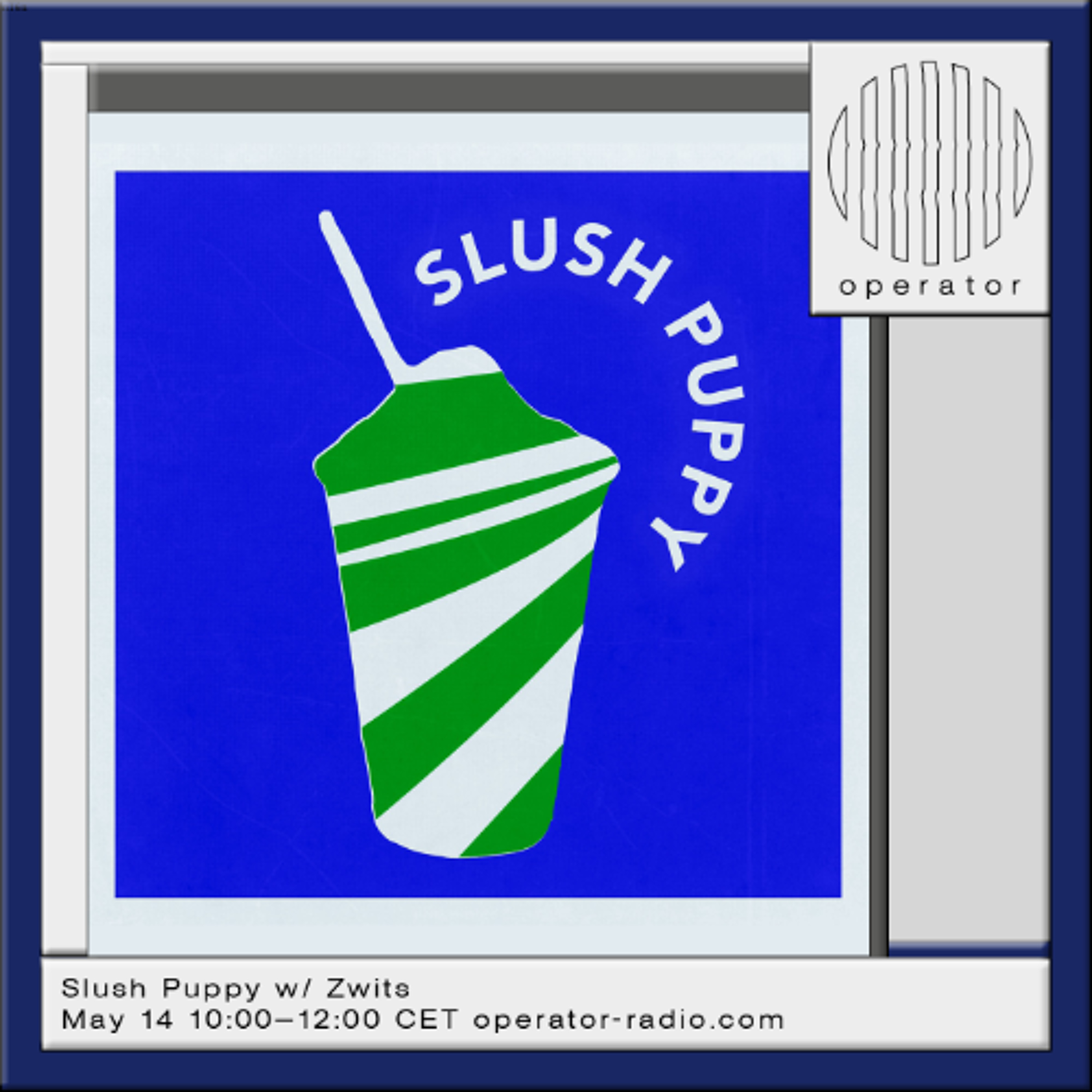 Slush Puppy w/ Zwits - 14th May 2026 episode artwork
