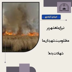 نیزار ماهشهر بر مظلومیت شهیدان ما شهادت بده!