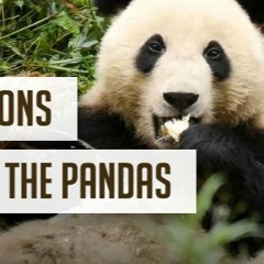 Musiques de documentaires