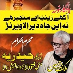 آکھے زینب سلام اللہ اے سنجبر ہے، نہ ایں جاہ دیرہ لا ویرنڑ - سرائیکی نوحہ - نزر حسین بھٹہ