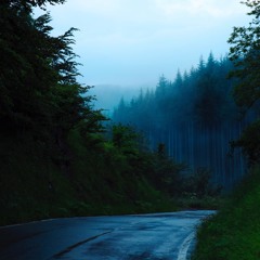 Vaa Rayil Vida Polaama (Lofi Remix) "Santosh Narayanan Tribute"