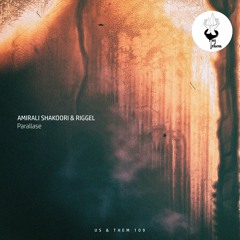 AMIRALI SHAKOORI & RIGGEL - PARALLASE (ORIGINAL MIX) ***snippet***