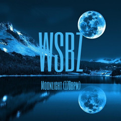 WSBZ- Moonlight 170bpm [WSBZ TECHNO MIX]