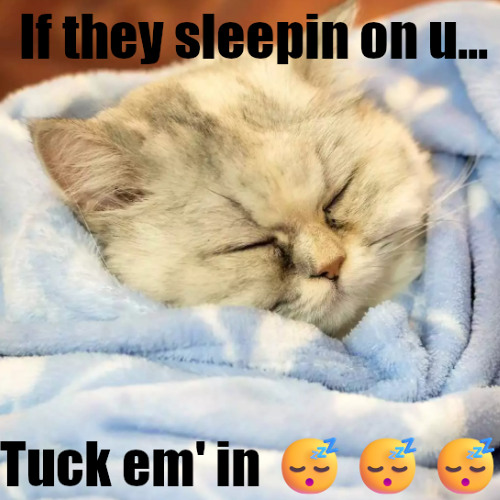 booly flow but not rlly