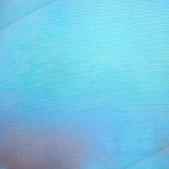 Zephyr (Live 09-21-25)