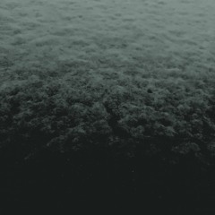 Winter's Crawling