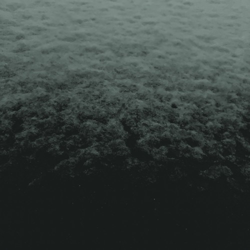 Winter's Crawling