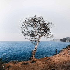 Ep. 456 Meditazione Anapanasati, la mente