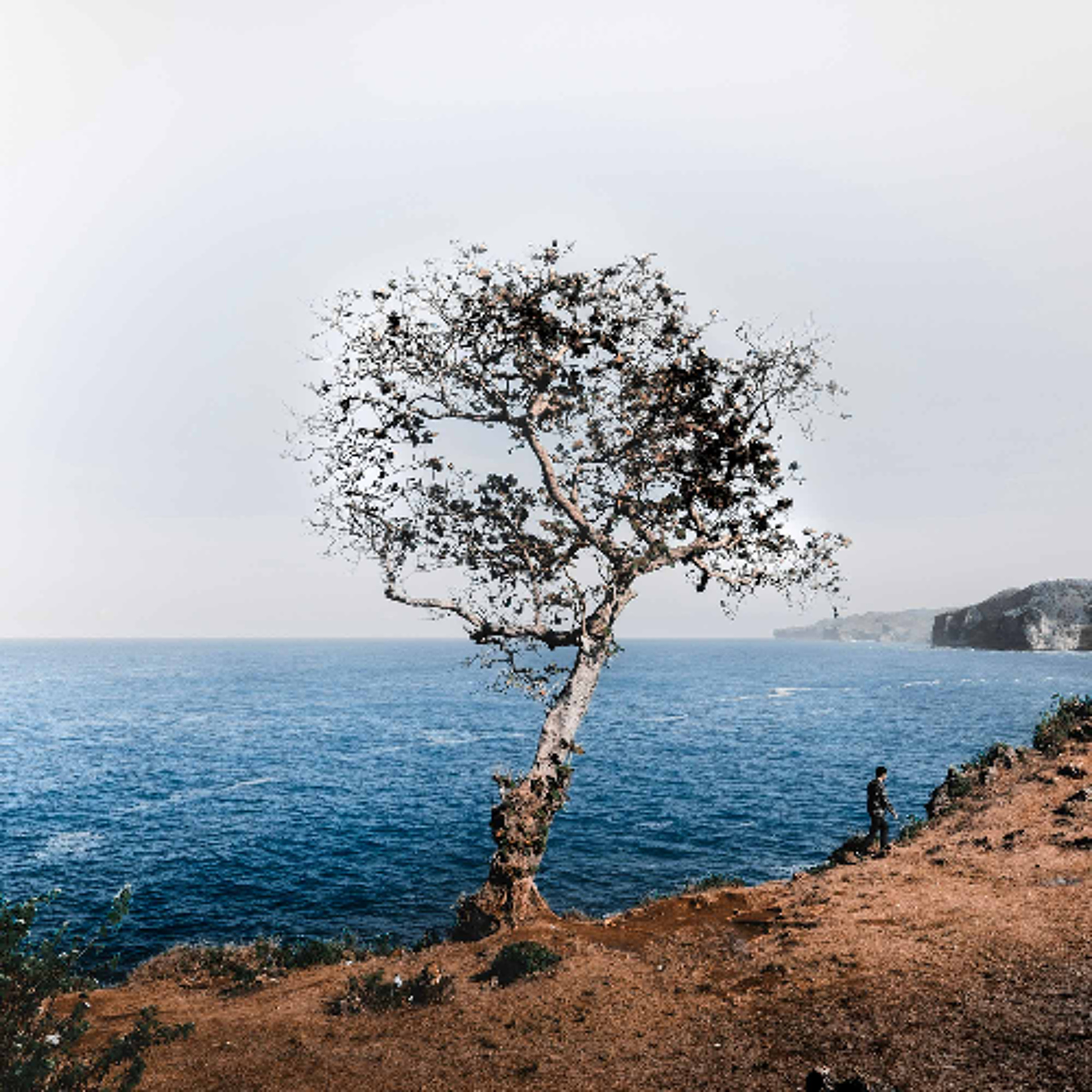 Associazione Kalyanamitta: Meditazione, Mindfulness, Buddhismo