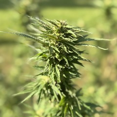 don’t take it personal