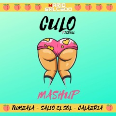 Pitbull - CULO🍑 "SUPER PERREO MASHUP" Túmbala ✘ Salió El Sol ✘ Calabria (Mario Salcedo Dj) FREE
