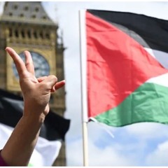 Elysian Presents // FREE PALESTINE