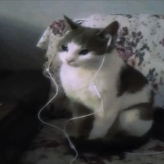 🔪on ya head #hardtekk #raw