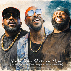 Sucka Free State of Mind (Unofficial Remix - feat. Killer Mike & Sleepy Brown)