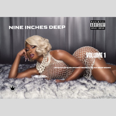 Silver Limited Edition - Nine Inches Deep Megamix Vol.1 Oldschool 90s R&B HipHop (APR 2025)