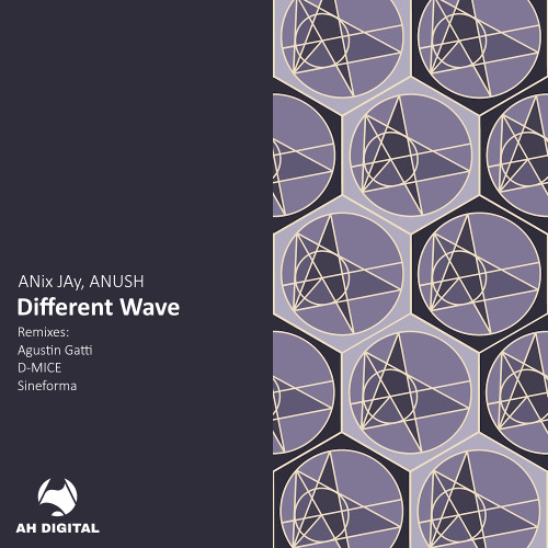 ANix JAy, Anush - Different Wave (Agustin Gatti Remix)