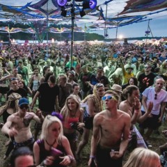 Vini Vici - Ravers Army (Open Source Bootleg)