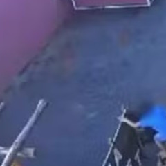 Original: Crianca Mata 23 Animais Crianca De 9 Anos Mata Animais Crianca De 9 Anos Mata 23 Animais