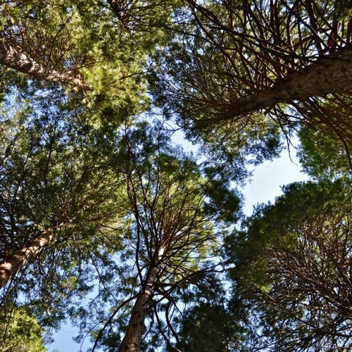 Stream Safe Place Visualization By Emma Peck Therapy Listen Online