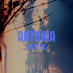 Beattie - Antonia