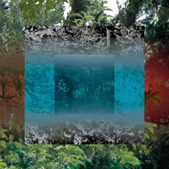 asflip / From 2010 EP (OTONOHAEP02)