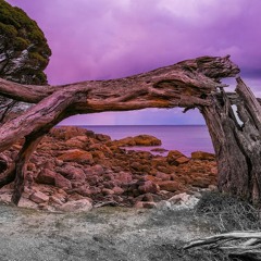 Fear & Pain x Crownless - Fatum x Gem & Tauri (Madlon Mash) (Free DL)