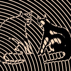 Take Me From The Bottom To The Top!