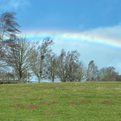 Jesus You're my Lord and King (You Son of God are Glorious)