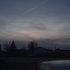 HesseTekk vs Rauschii