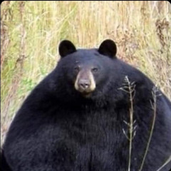 Hurricane AJ (Prod. Waterboy x Jack James)