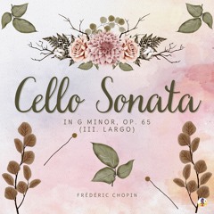 Cello Sonata in G Minor, Op. 65 - III. Largo