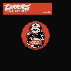 Luude & Harry Bee - Fun In Sun (FULL VERSION)