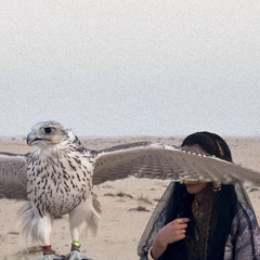 𝑆ℎ𝑎𝟥𝑏𝑦𝑎𝑡📻！