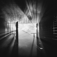 Inertia