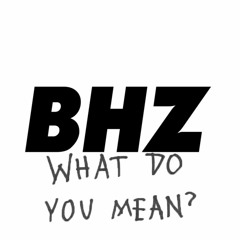 BHZ - DRINK IST KALT X Justin Bieber - What Do You Mean? [Mashup] - prod. by Kiffbolzen