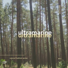 woodlandscape ◦ ultramarine