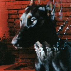 Mutt (Teeburr Remix) FREE DOWNLOAD