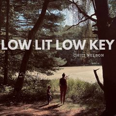 DistroKid Wheel of Playlist - 4