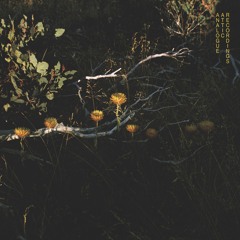 Northcote, Winter Solstice