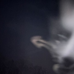 kreative perspektiven