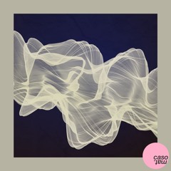 PREMIERE: Schtu - Dopamine (Original Mix) [Casomat]