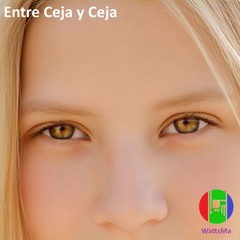 Cejas descoloridas (popular)