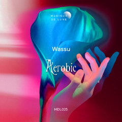 LTR Premiere: Wassu - You Make Me Feel (Extended Mix) [Musique De Lune]