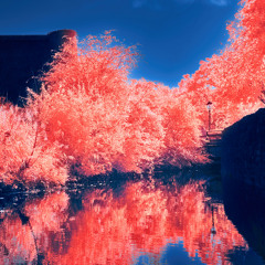 Side Creek