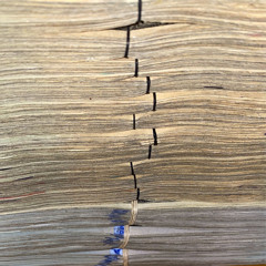 Check The Score (Feat. Choppa J & Fetti Cp)