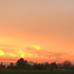 E3 Gustavo Alarcón y Felipe Retamal